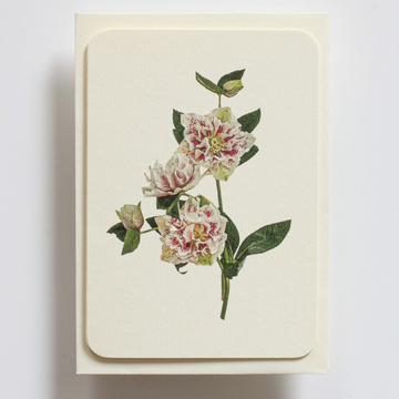 Cards