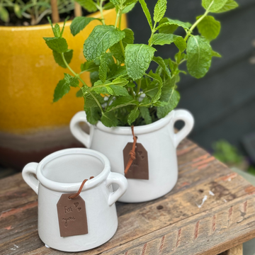 Pots & Planters
