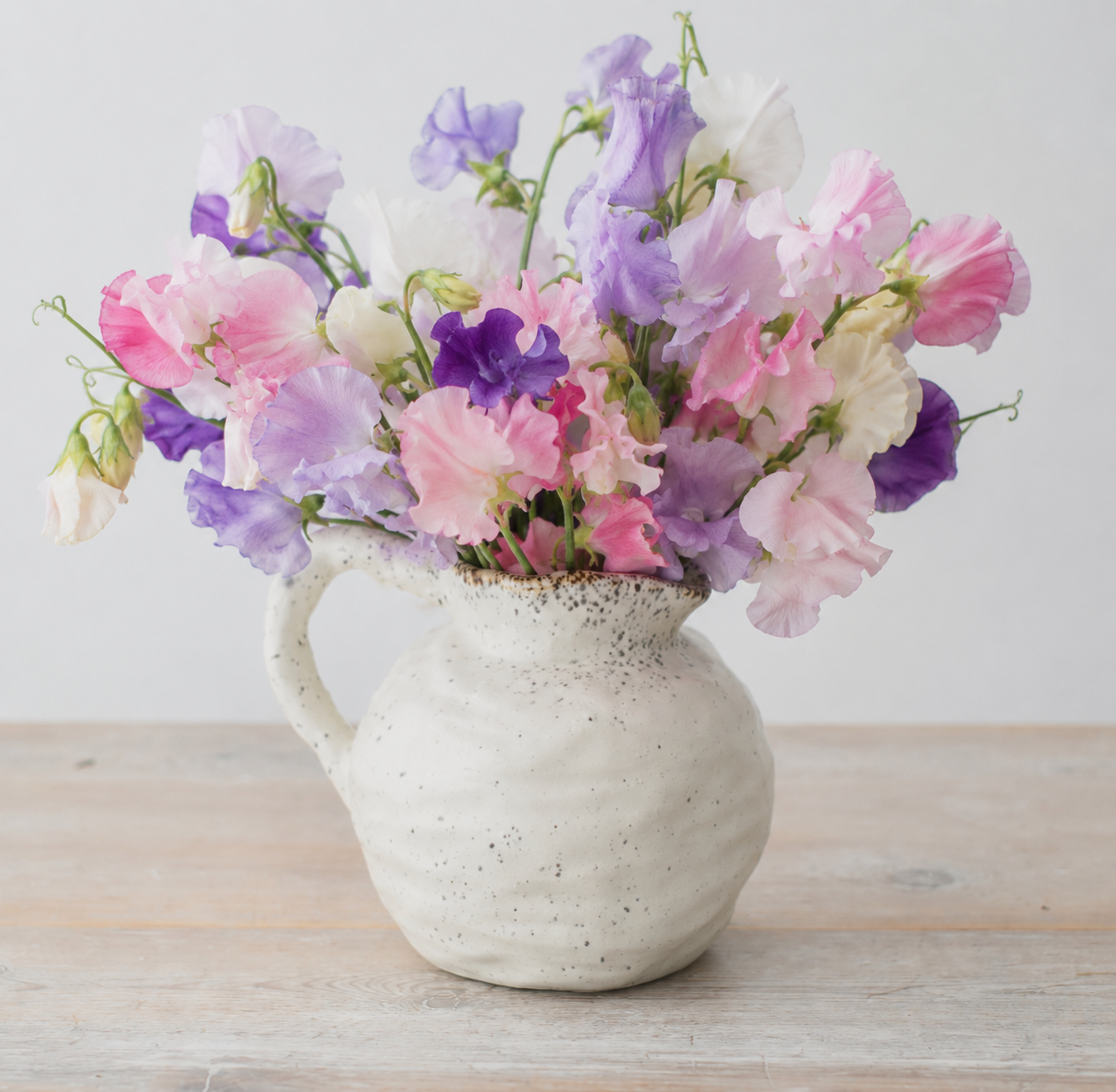 Speckled Jugs Stubby One
