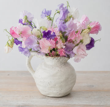 Speckled Jugs Stubby One