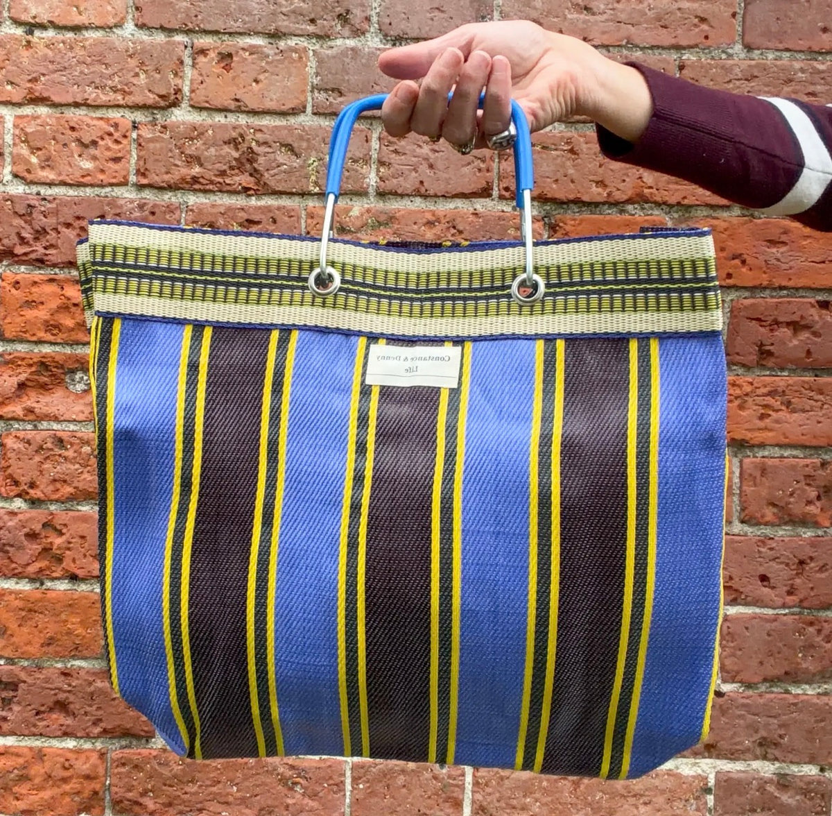The Everyday Carry All Bag - Sapphire Stripe