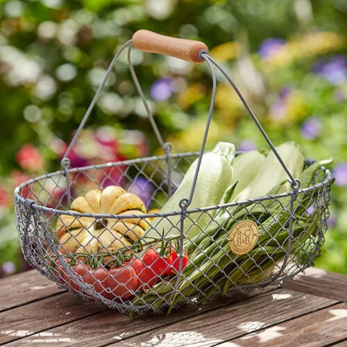 Sophie Conran Designed Garden Wire Harvest Basket