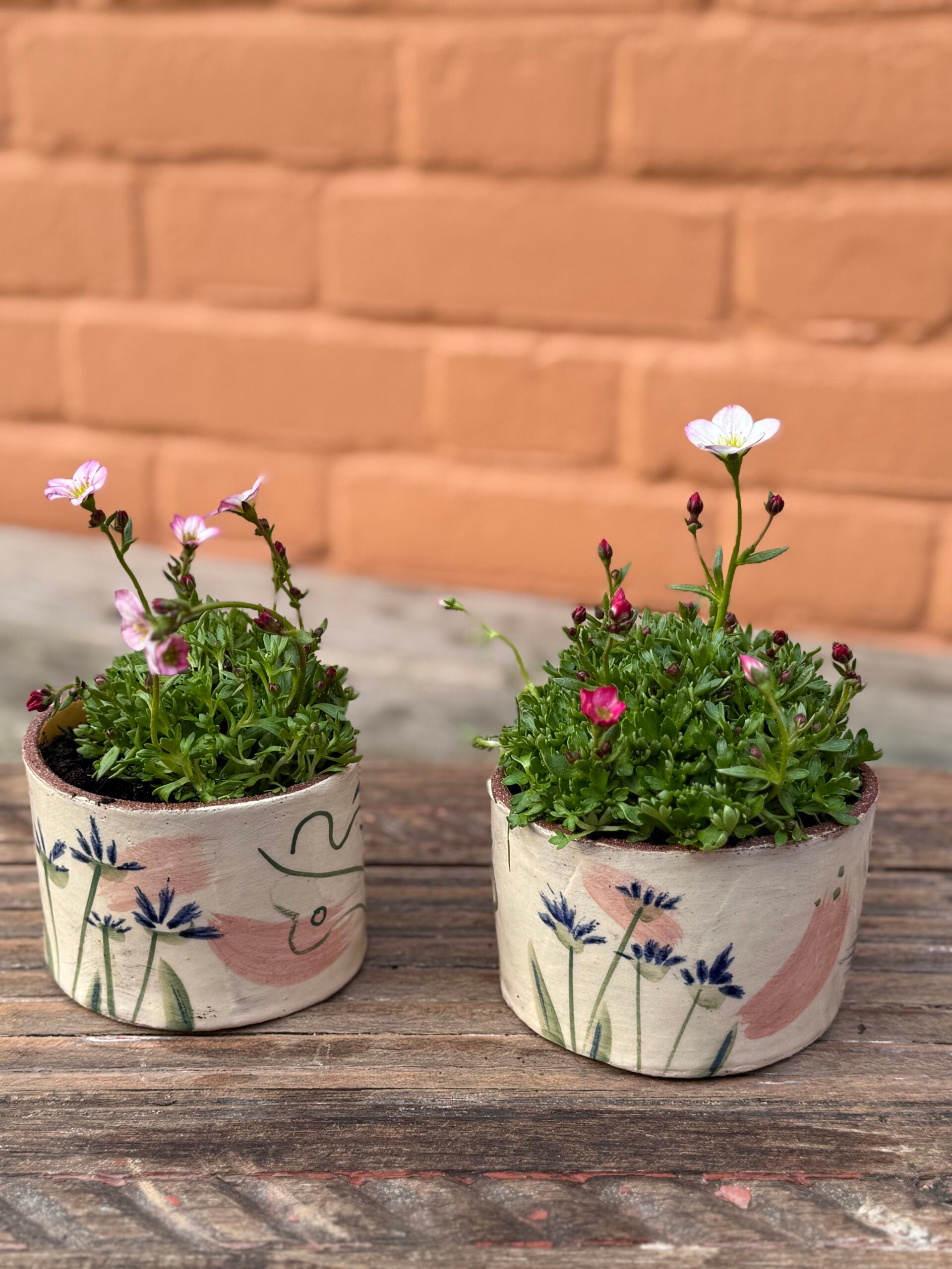 Pretty Pots - by Steven Jenkins