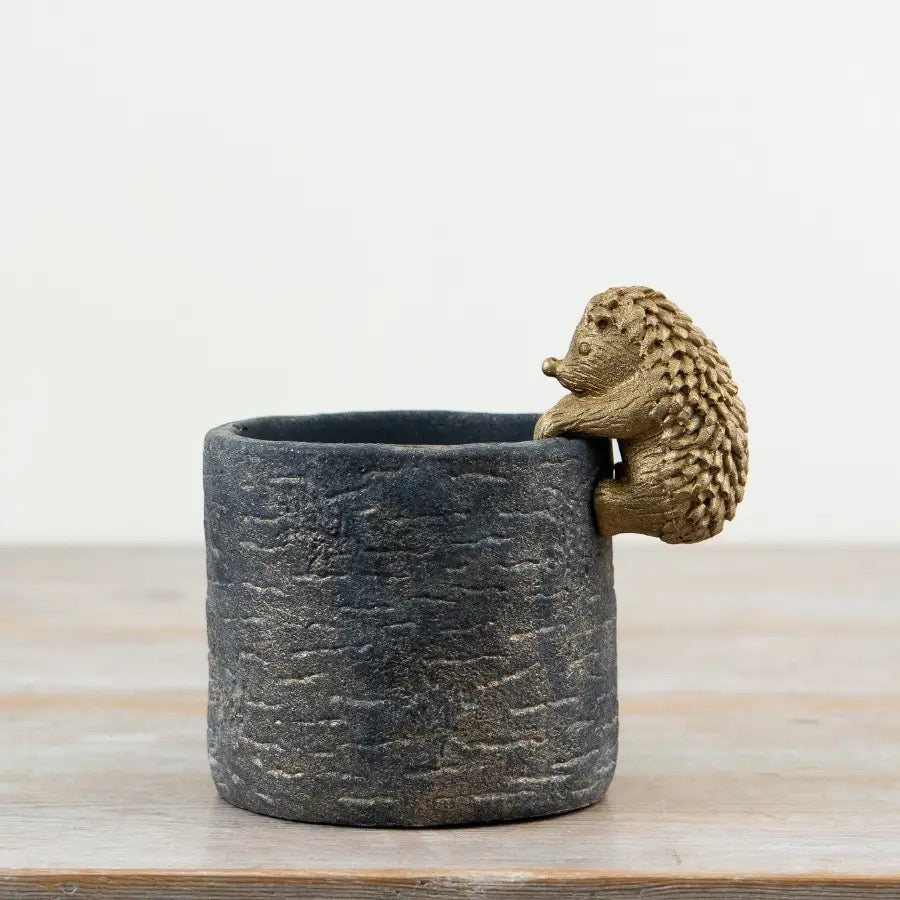 Mr Hedgie Pot