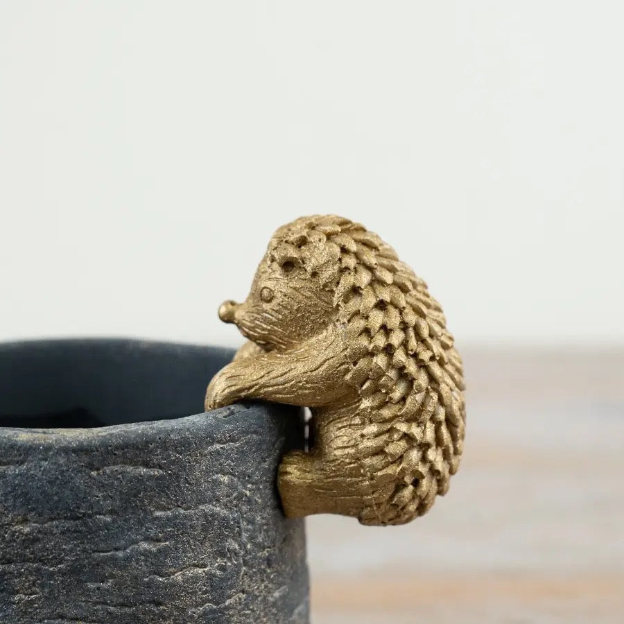 Mr Hedgie Pot