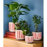 Stoneware Red Stripe Planter - 18cm