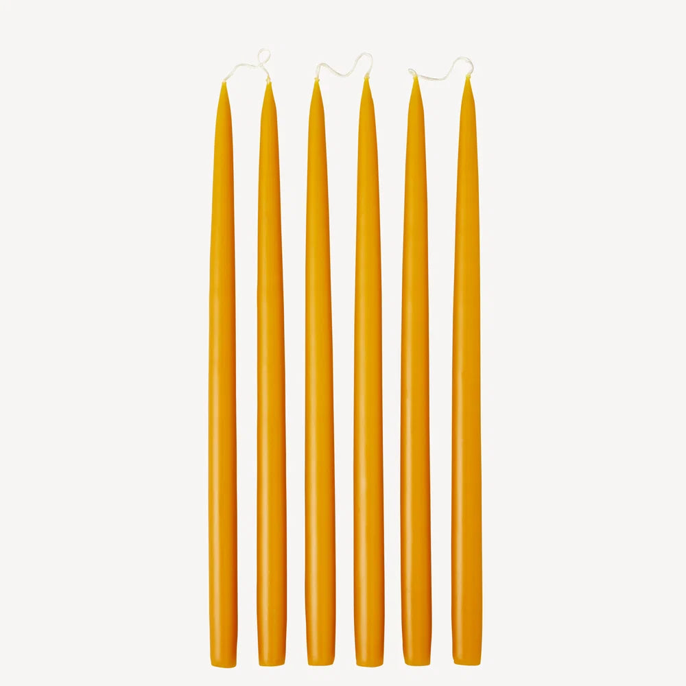Butter -  Tapered Dinner Candles