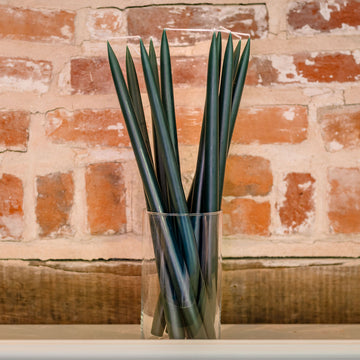 Forest Green -  Tapered Dinner Candles