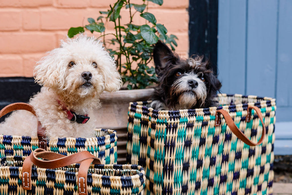 slider image slider_item_cTTy6M