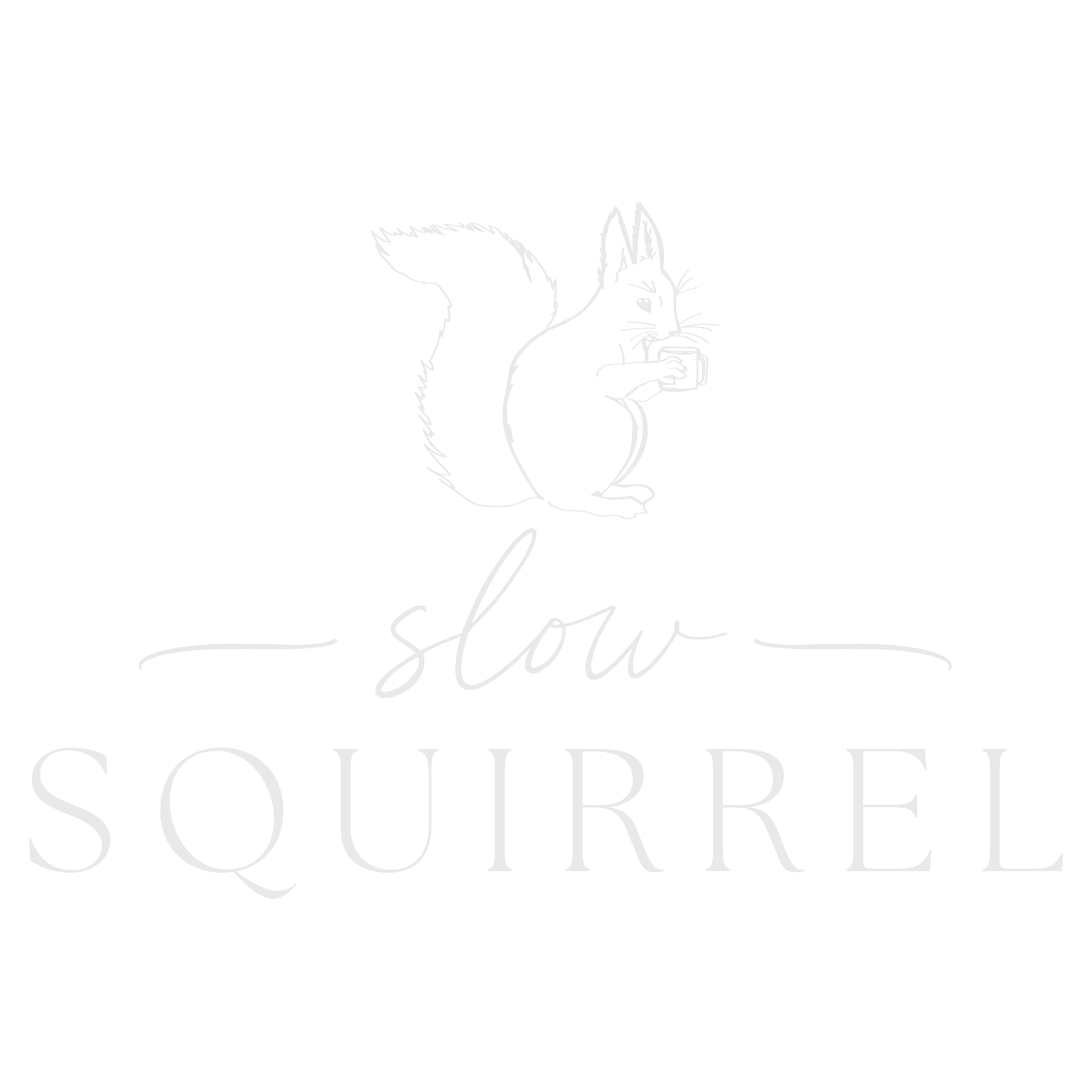  Squirrel